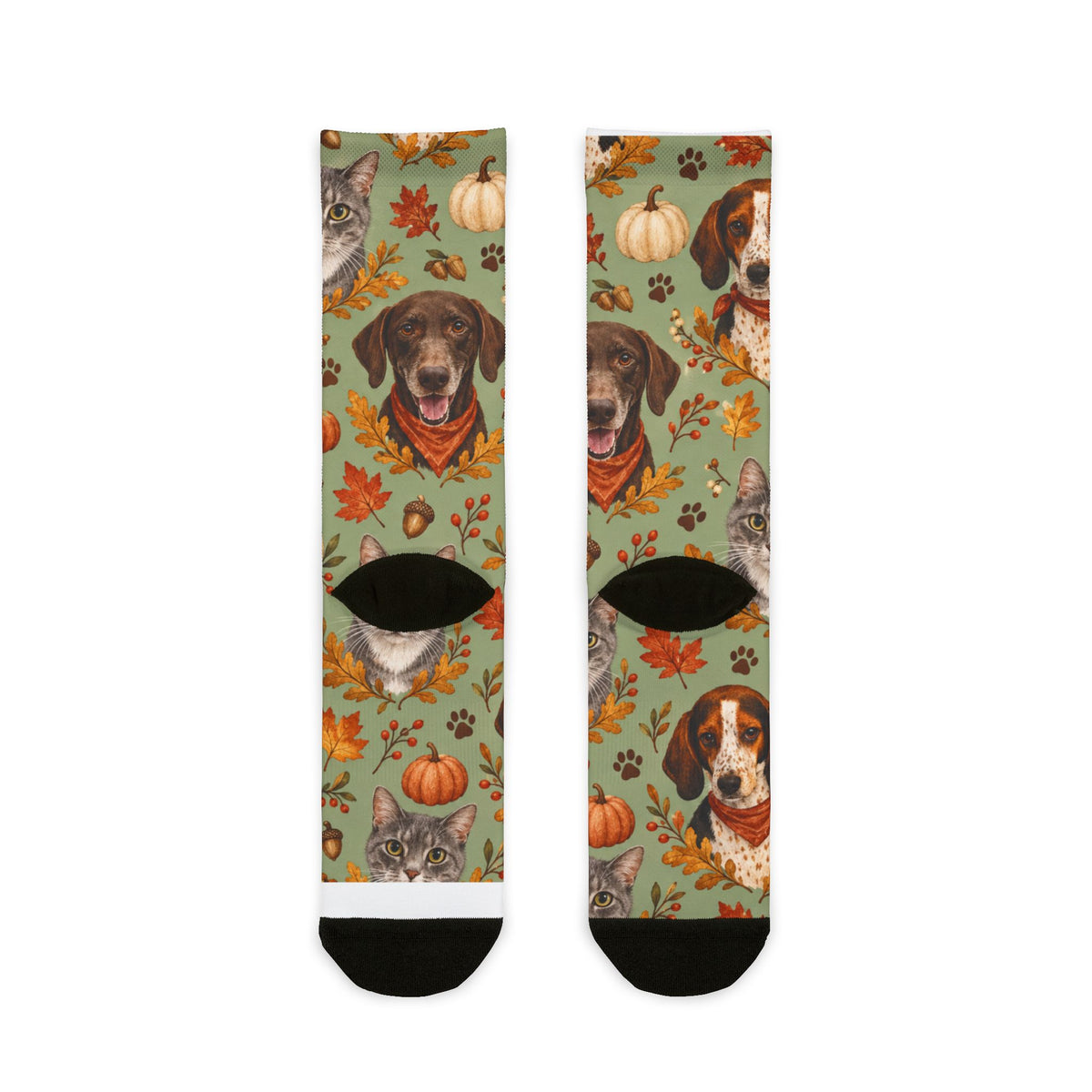 Harvest Paws — Sage Green Dog & Cat Fall Crew Socks