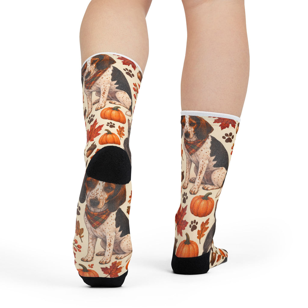 Pumpkin Paws — Dog & Cat Autumn Crew Socks